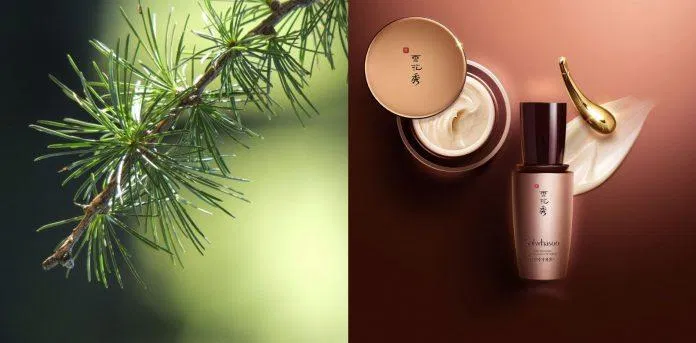 Các sản phẩm của Sulwhasoo được tạo nên bởi những nguyên liệu Đông dược quý giá của xứ kim chi. (Nguồn: Internet).