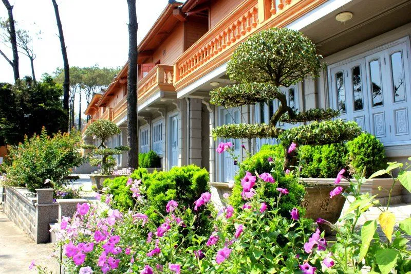 Hoa nở dọc lối lên Hoa nở dọc lối lên (nguồn: BlogAnChoi)