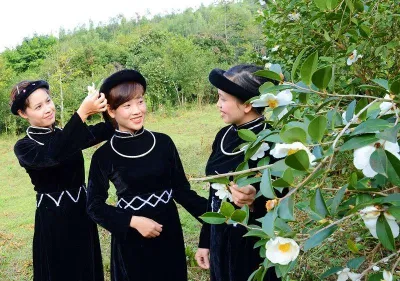 Lễ hội hoa sở - Bình Liêu Lễ hội hoa sở - Bình Liêu