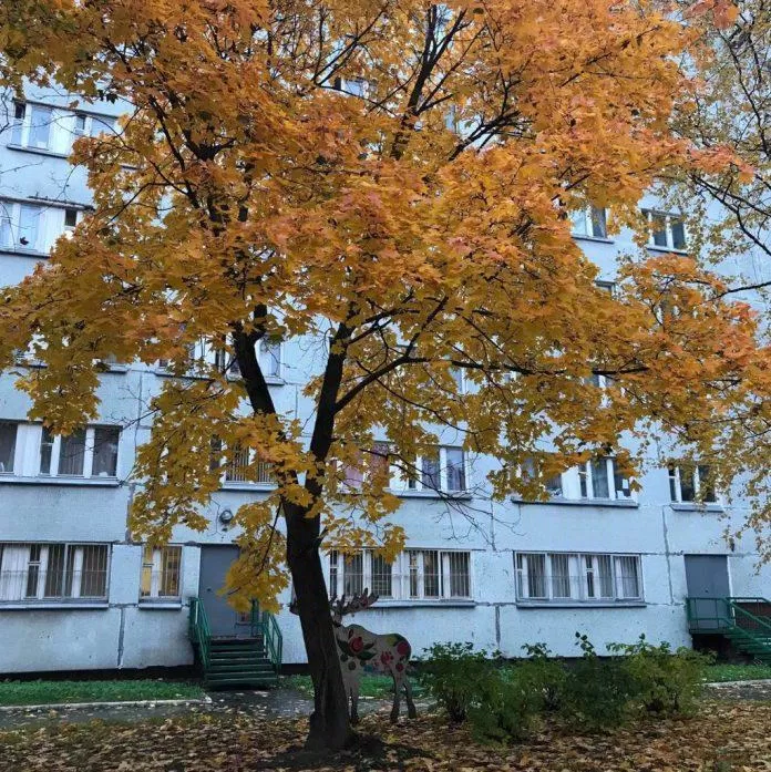 Trái lại, mùa thu ở Nga lại vô cùng đẹp (Nguồn:  TinhVe)