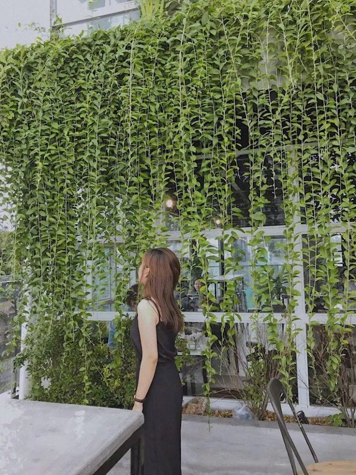 cà phê cà phê sân thượng Sargon Coffee