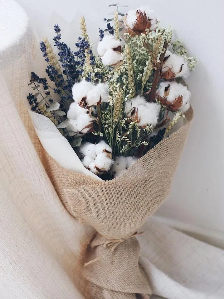 Qùa tặng giáng sinh cho bạn gái