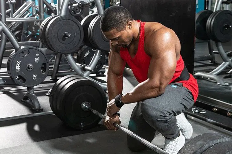 Quy luật hồi phục cơ bắp.