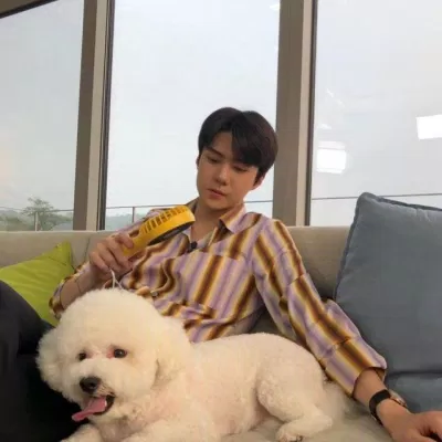 Sehun (EXO)