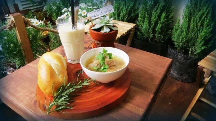 Tiệm cà phê Hiên cúc trắng