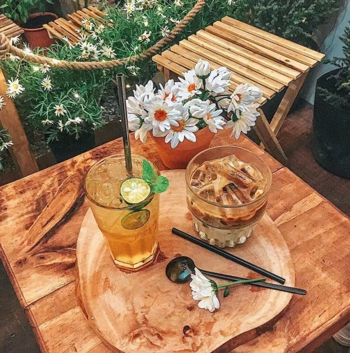 Tiệm cà phê Hiên cúc trắng
