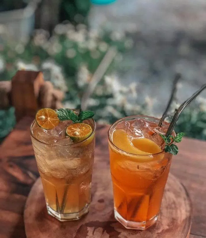 Tiệm cà phê Hiên cúc trắng