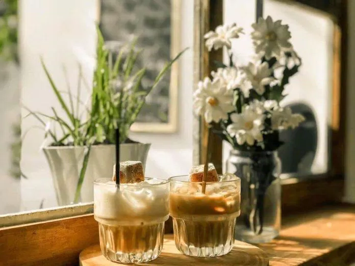Tiệm cà phê Hiên cúc trắng