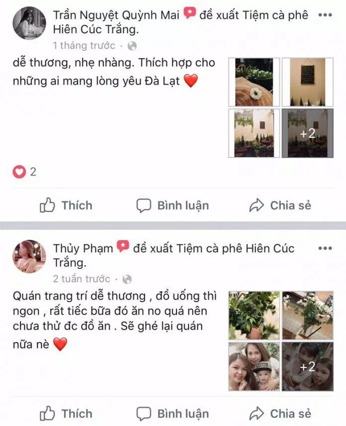Tiệm cà phê Hiên cúc trắng