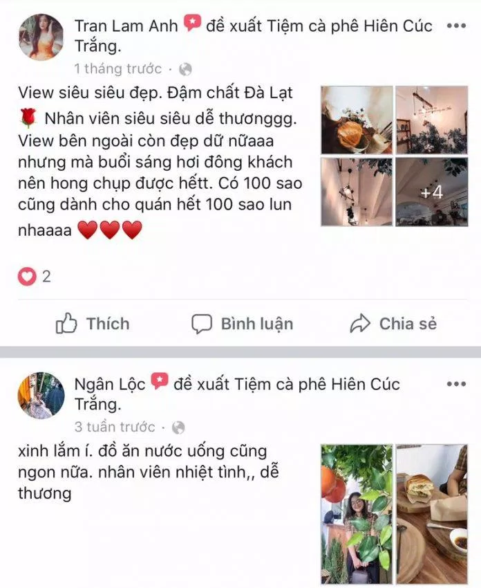 Tiệm cà phê Hiên cúc trắng