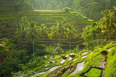 Ruộng bậc thang ở làng Tegalalang