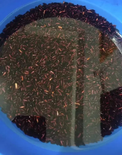 Cách làm sữa chua