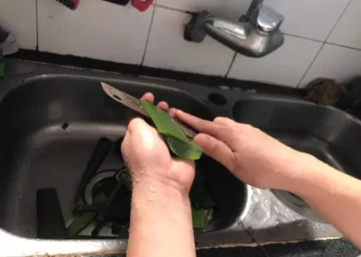 Cách làm sữa chua