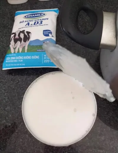 Cách làm sữa chua