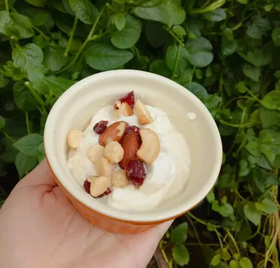 Cách làm sữa chua
