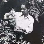 Giáo sư Rapee dành cả đời để nghiên cứu hoa lan. (Nguồn: internet).