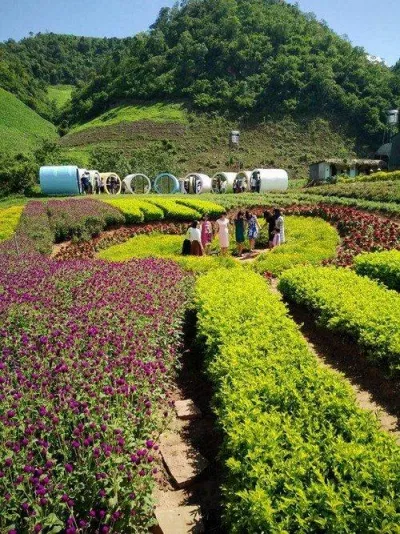 Khu Happy Land