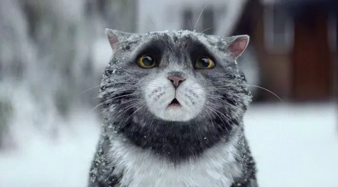  Giáng Sinh Của Mog 
