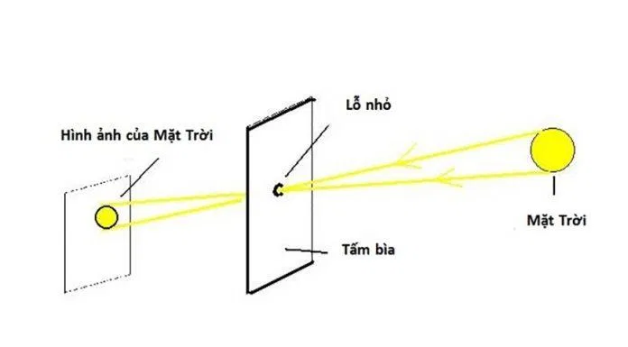 Nguồn: internet