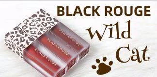 Black Rouge Wild Cat Air Fit Velvet Mini Kit là set son đang làm mưa làm gió trên thị trường hiện nay. (nguồn: Internet)
