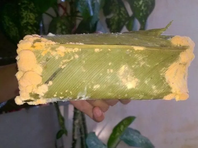 bánh chưng mốc