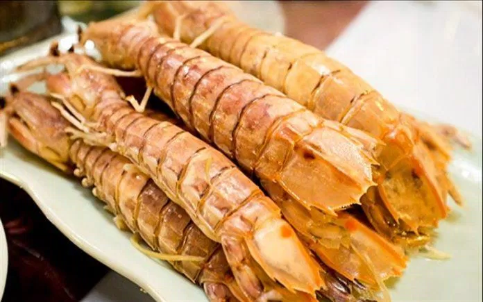 Bề bề Móng Cái Bề bề Móng Cái