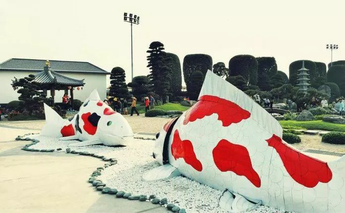 Cá Koi được xem là quốc ngư của Nhật Bản