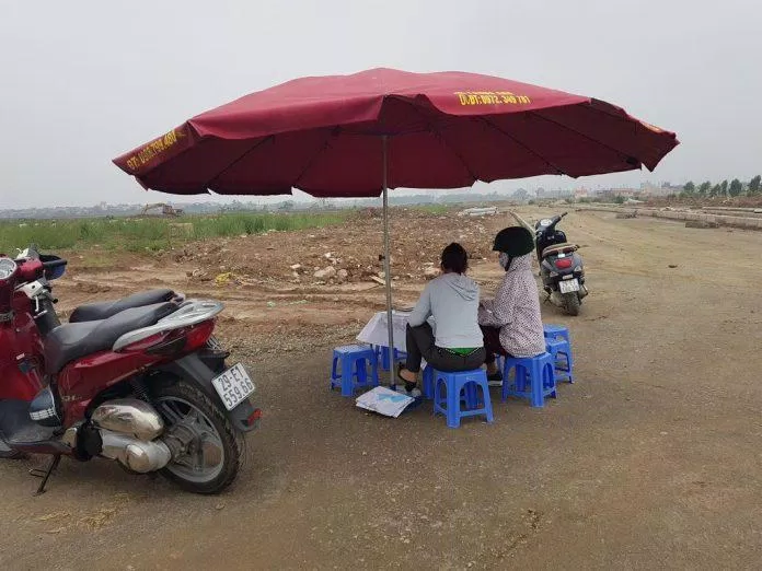 cò đất lộng hành