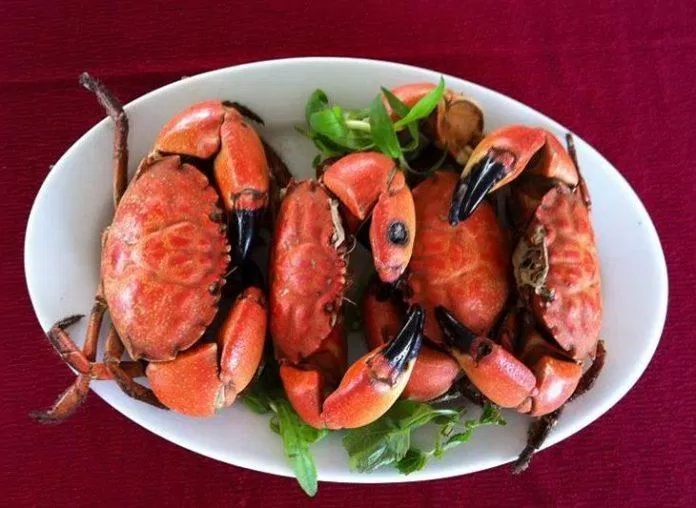 Cù Kì Móng Cái Cù Kì Móng Cái