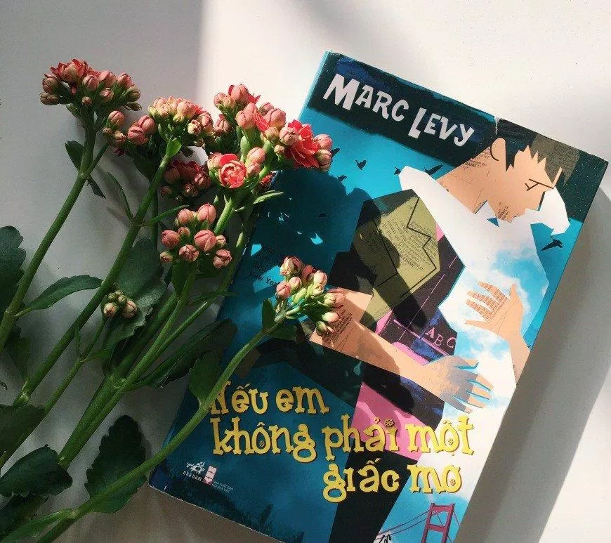 Cuốn tiểu thuyết Nếu Em Không Phải Một Giấc Mơ Cuốn tiểu thuyết Nếu Em Không Phải Một Giấc Mơ