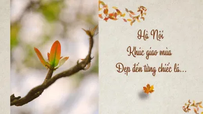 20 ca khúc bất hủ Tết