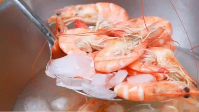 Lấy tôm ra khỏi bát nước đá, để ráo nước lấy tôm
