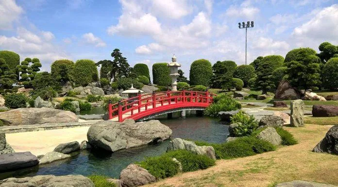 hồ cá koi rinrin park, ca koi o hoc mon, ho ca koi hoc mon, ca koi hoc mon