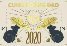 12 cung hoàng đạo 2020