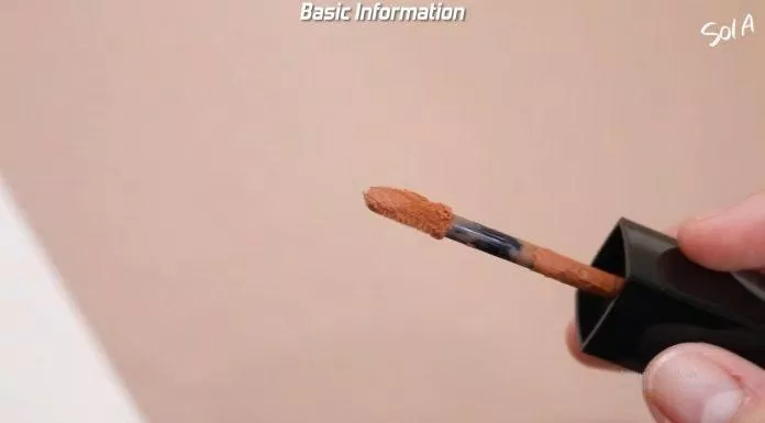 Cọ son Merzy Blur Fit Tint có hình chiếc lá vát xéo. (nguồn: Internet)