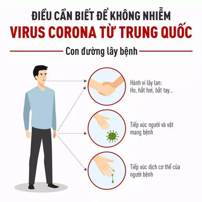 Những con đường lây lan của virus corona ( Nguồn : internet )