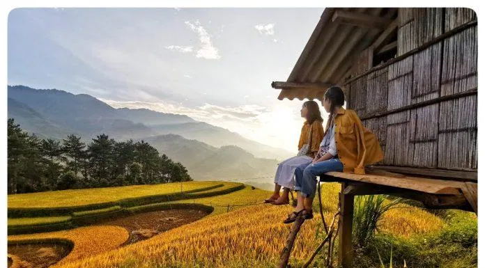 Mù Cang Chải mùa lúa đổ. (Ảnh: BlogAnChoi)