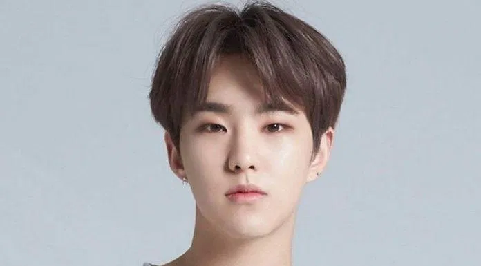 Hoshi - Người góp phần biên đạo cho SEVENTEEN