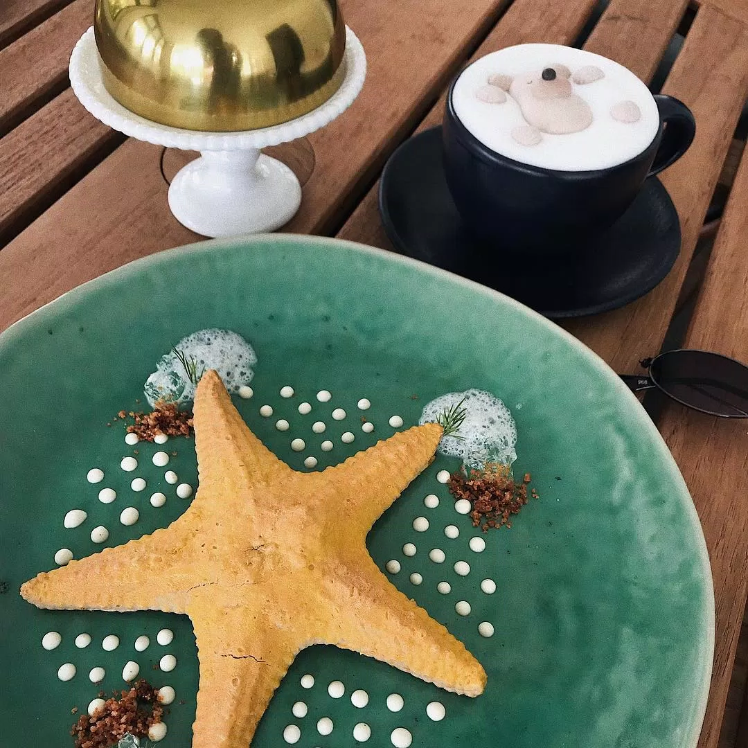 starfish cake ici