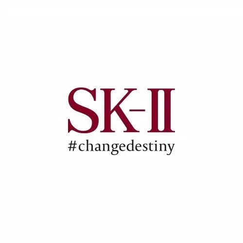 Logo logo skii