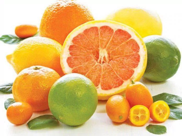 trái cây họ cam quýt