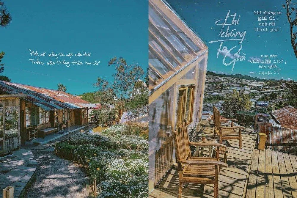 Khuôn viên tại Túi Mơ To ( Ảnh: Fanpage Túi Mơ To)