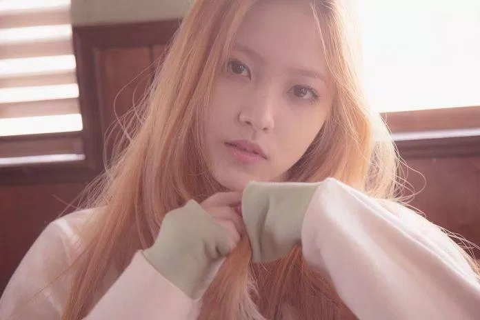 yeri debut