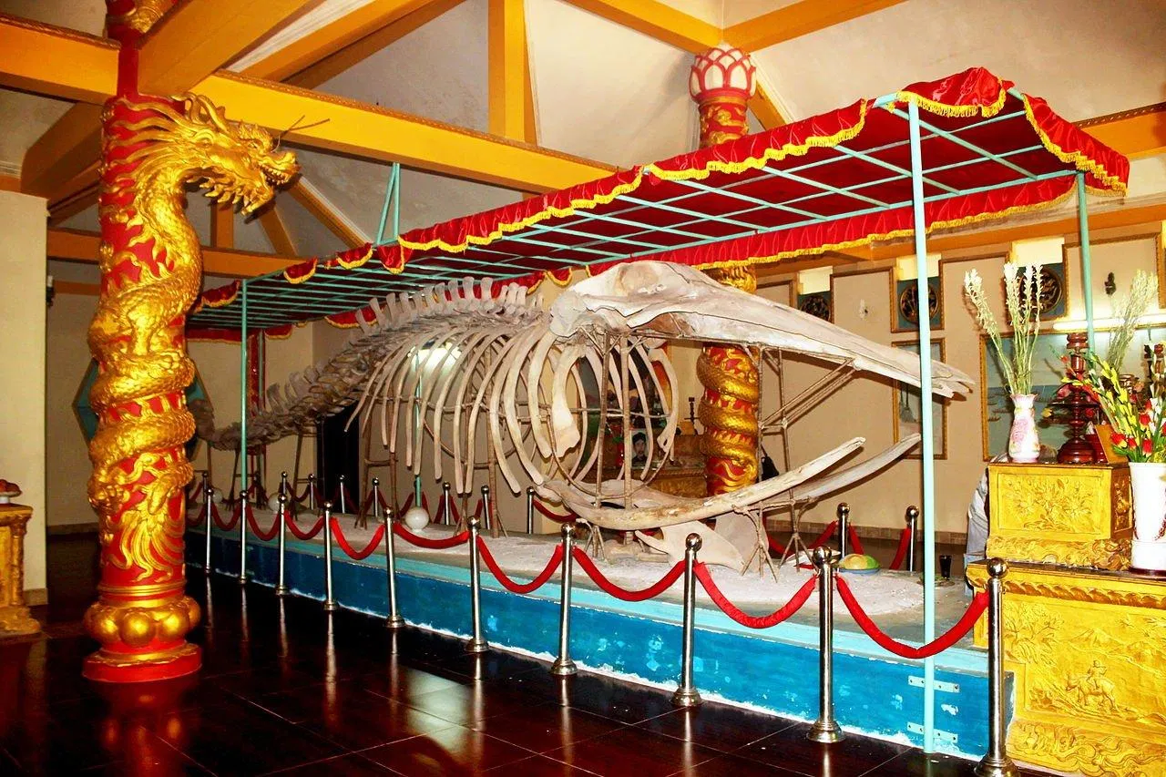 Hòn đá bạc