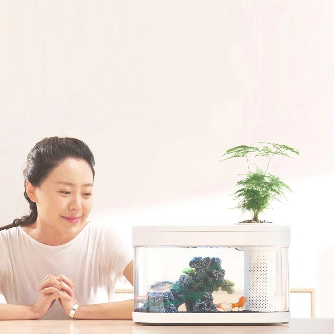 <img src="https://bloganchoi.com/gi-cung-co-voi-xiaomi/" alt="Bể cá Xiaomi"> Bể cá Xiaomi