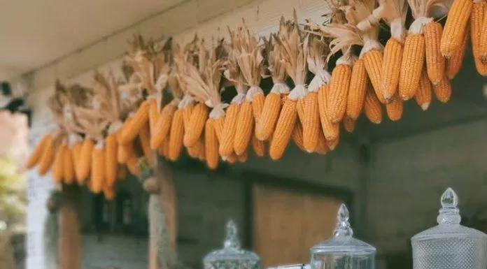Top 5 quán cafe đẹp, độc, lạ tại Đà Lạt