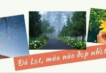 đà lạt mùa đẹp nhất