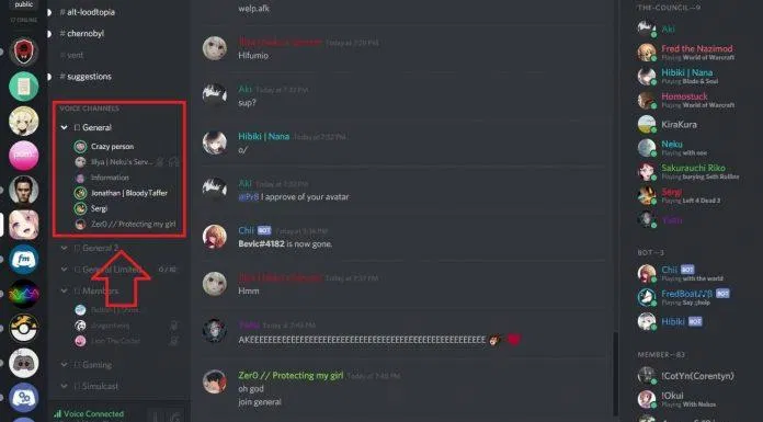 Giao diện voice chat của Discord (Nguồn: internet)