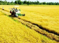 165 Bí quyết du lịch an toàn mùa Covid – 19 mới nhất 27 dong lua menh mong