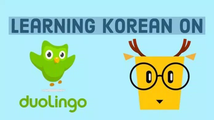 Ứng dụng học tiếng Hàn miễn phí Duolingo và Lingodeer (Ảnh: Internet)